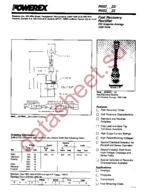 R6021022PSYA datasheet  